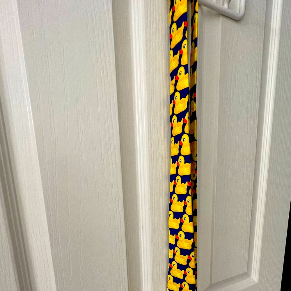 Menswear accessories- cute tie.  Duck design